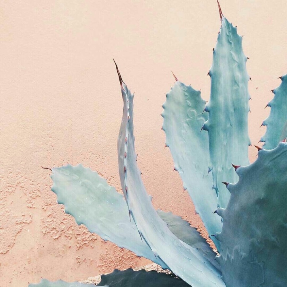 My Style and ISO List!